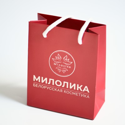 Фирменный пакет 12x15x6 красный